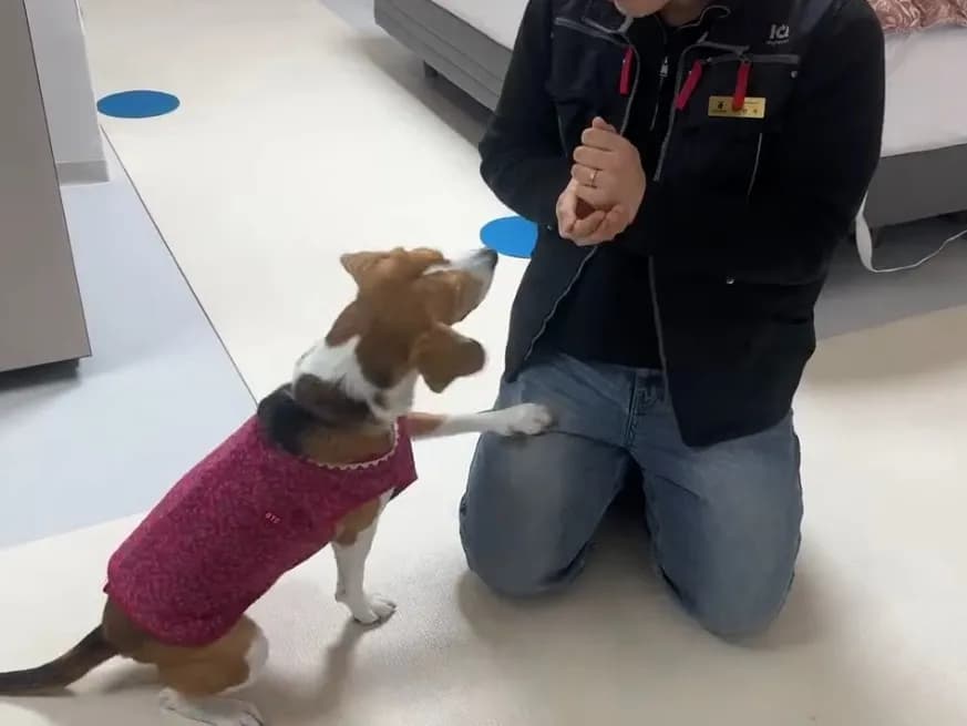 방문 교육